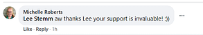 community michelle support